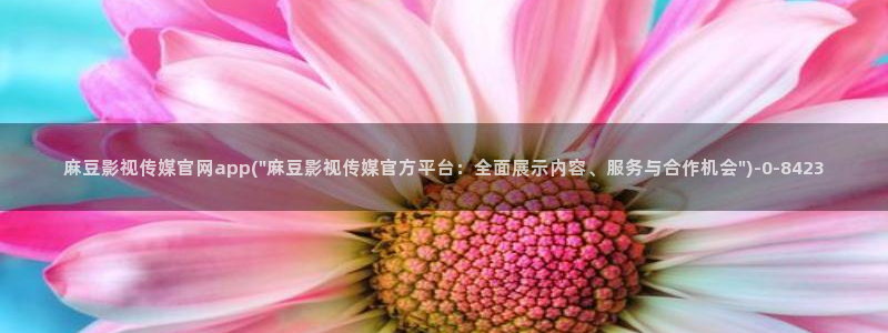 麻豆传媒 台湾 官网：麻豆影视传媒官网app(\