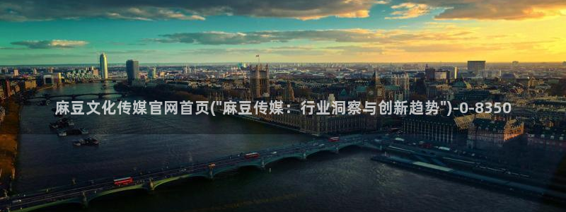 麻豆视传媒网站官网：麻豆文化传媒官网首页(\