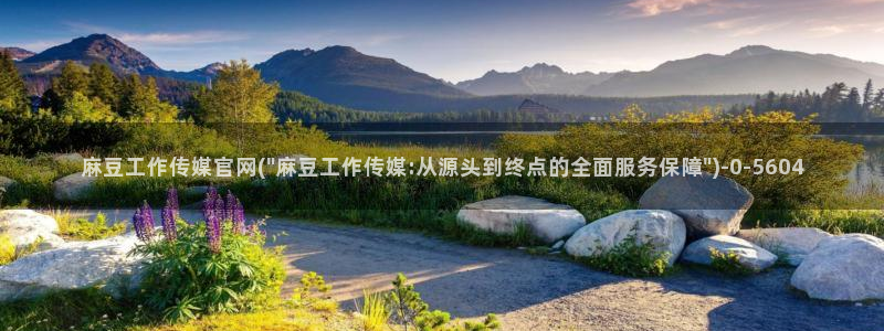 麻豆传媒官网欢迎你：麻豆工作传媒官网(\